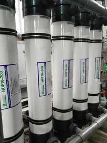 天津超純水設備 天津滋源環?？萍? />
</span>
<span id=