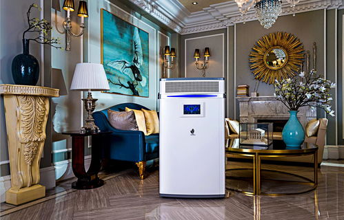 洛陽新雨環保科技批發價格 洛陽新雨環?？萍忌a廠家